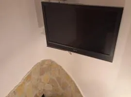 T1 cosy