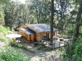 Eco Cabin In The Black Mountain Forest