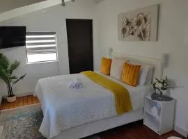 Cosy Top floor Studio Apartment