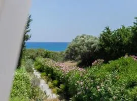 Beachfront Villa Socrates