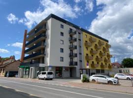 City Flat - Garage parking - TRITA SK, מלון בפופרד