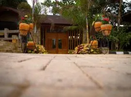 Roots House