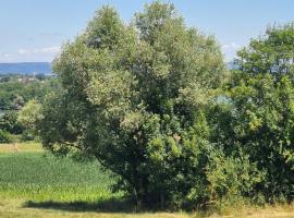 Maison les berges du lac, hôtel à Jayat