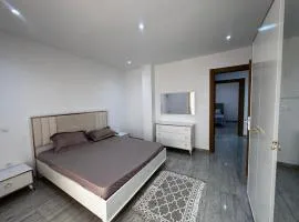 Luxury Apartment