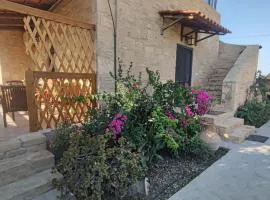 House Georgos at Afrathias Beach