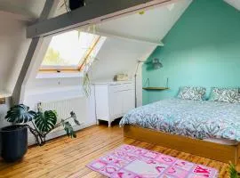 Ruime zolderkamer in herenhuis met dubbel bed