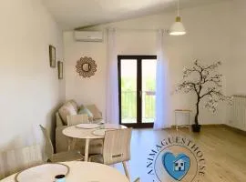 Anima Guest House