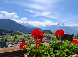 Le Nid d'aigle apt Leysin centre avec forfait piscine sauna jacuzzi en option
