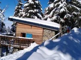 Chalet des lupins - Chalet 1P2