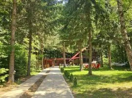 Misha's House