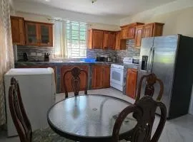 Island Gemz Apartment