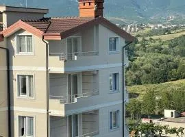 Villa Martin