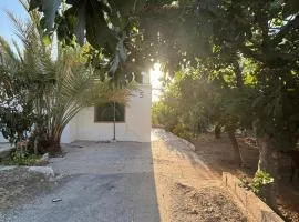 Featured House Furnished Independent for Rent