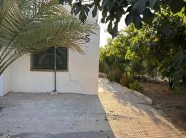 Featured House Furnished Independent for Rent