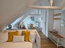 Santorin, Appartement lumineux au coeur de Vannes