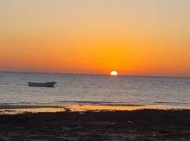 Dartoumana Ogla Zarzis Bient Elrais