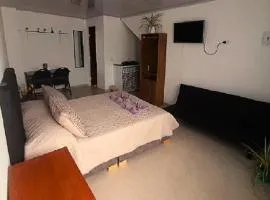 Mi Rincón Feliz