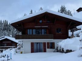 Chalet Schneelöwe, cabin in Arni Alp