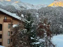 Vista Nevada