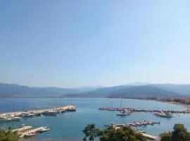 Elmar Mosaic Suites