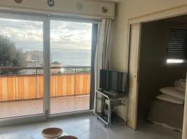 2 p vue mer terrasse proche monaco