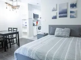 The Riverbend Modern Studio at Harrison Lake