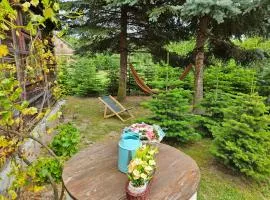 Sielski Dom I Sauna i Jacuzzi dodatkowo płatna opcja