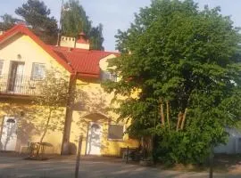 Tawerna Murena