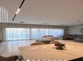 Twin house