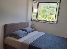Apartman Tomo