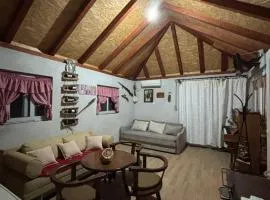 Old house7