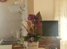 Elegantia Domina apartment in the center