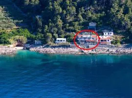 Apartments by the sea Cove Solotisa, Hvar - 5610