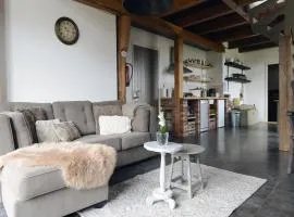 Spacious apartment with garden