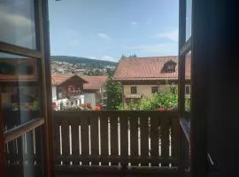 Apartment in Sankt Englmar, Bavaria