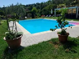 Guest House Torre Guelfa, Vinsantaia