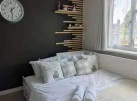 Cozy garden facing room