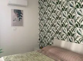 Xenia Rooms