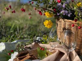 Milky Way Guest House, hotel pro pobyt s dom&aacute;c&iacute;mi mazl&iacute;čky v destinaci Znakva