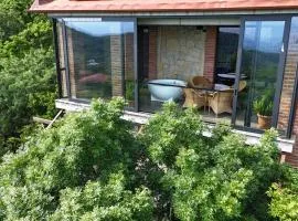 Villa Vejini