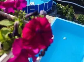 Lux Apartmans-VILA MALI RAJ