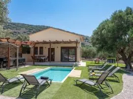 Eleolithos Villa olive & pool