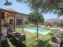 Eleolithos Villa olive & pool