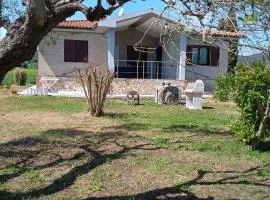 Villa Angeli