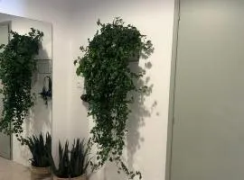 The mint