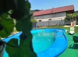 Casa Anastasia Slănic Moldova