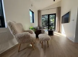 Downtown Modern Luxury Apt 101