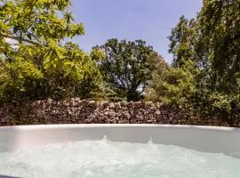 Historic 1883 Trulli with Nordic Tub spa in a private Garden - Valle d'Itria
