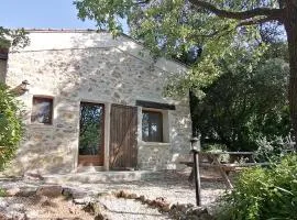 Un Cabanon en Provence