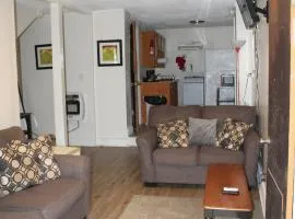 HISTORIC HILL APT2 (Downstairs)